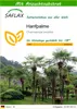 SAFLAX - Hanfpalme - Chamaerops excelsa - 10 Samen - Mit Produktbild-Vorschau 1