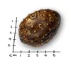 NutriQM Hunde-Überraschungsei 5 x 60g Produktbild-Vorschau 3