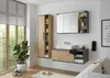 Spiegelschrank Badspiegel Wandschrank Spiegel Hängeschrank Produktbild-Vorschau 6
