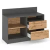 Komoda Szafka RTV 100x76x39 cm Antracyt Dąb Wotan Podgląd zdjęcia produktu 6