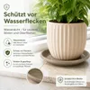 Sottovaso per piante Mira Taupe Ø 39 cm - Resistente al Anteprima dell’immagine prodotto 5