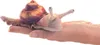 A plush toy snail puppet is resting on a person's hand. Produktbild-Vorschau