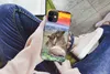 MuchoWow® Handyhülle Schutzhülle Hülle für iPhone 12 Löwen Produktbild-Vorschau 3