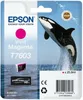Seagate Basic/4TB/HDD/Esterno/2,5"/Nero/2R Anteprima dell’immagine prodotto 5