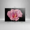 Bild auf Leinwand - Leinwandbild - 3 Teile - Hibiskus Blume Produktbild-Vorschau 3