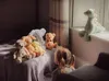 Charlie Bears Maskot, stegosaurus Stevie, ze série Bear&Me, Náhled obrázku produktu 9