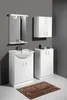 Nástěnná skříňka SIMPLEX ECO 50x60x24cm Náhled obrázku produktu 4