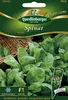 Quedlinburger Spinat Emilia F1-Hybride - Premium Produktbild-Vorschau 1