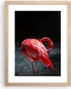 Gerahmtes Poster - Rahmen in heller Eiche - Flamingo Rosa Produktbild-Vorschau 1