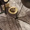 A close-up view of a rug with a wood log pattern, featuring a decorative bowl filled with pinecones and other natural items, and part of a side table. Produktbild-Vorschau