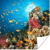 MuchoWow® Poster Koralle mit Fischen 100x100 cm - Produktbild-Vorschau 1