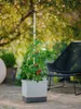 TOM TOMATO - Tomatentopf mit Wassertank & Rankhilfe - Produktbild-Vorschau 14