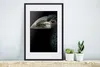 MuchoWow® Gerahmtes Poster Vogel - Porträt - Hornvogel - Produktbild-Vorschau 4