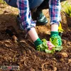 KOTARBAU® Mini Grubber Blumenkralle Blumenharke Produktbild-Vorschau 8