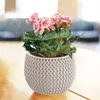 Květináč SPLOFY BOWL s vkladem 18 cm - barva: mocca Anteprima dell’immagine prodotto 6