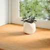 A potted plant sits on a wooden windowsill in front of a window with greenery visible outside. Podgląd zdjęcia produktu