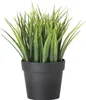 FEJKA Ikea Topfpflanze, künstlich, drinnen/draußen Gras, 9 Produktbild-Vorschau 1