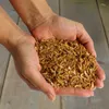 Hands holding dried shrimp. Produktbild-Vorschau