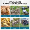 Couveuse entièrement automatique, incubateur de 36 œufs Voir les images du produit 9