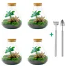 Flaschengarten Set – Sammie Coffea – DIY Terrarium – 26 cm Produktbild-Vorschau 5