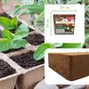 Kokosfaserhumus 5 Kg – ergibt ca. 70 L Blumenerde – Produktbild-Vorschau 6
