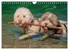 Lagotto Romagnolo, Sonderausgabe (Wandkalender 2027, DIN Produktbild-Vorschau 12