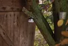 Brennenstuhl LED Outdoor Leuchte OLI 0200 - 1171550 Produktbild-Vorschau 7