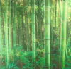 Fensterfolie Venilia Vitrostatic Bamboo Bambus 67,5x150 cm Produktbild-Vorschau 2