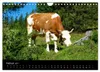 Die Welt der Kühe (Wandkalender 2027 DIN A4 quer), CALVENDO Produktbild-Vorschau 5