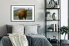 MuchoWow® MuchoWow® Gerahmtes Poster Schottisches Produktbild-Vorschau 2