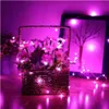 A basket of flowers decorated with string lights, with a framed picture in the background. Voir les images du produit