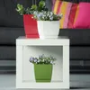 Three potted plants are displayed on and inside a white cube shelf unit, with a sofa and pillows in the background. Produktbild-Vorschau