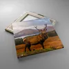 Bild auf Leinwand - Leinwandbild - Einteilig - Rehe Wiese Produktbild-Vorschau 2
