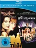 Practical Magic & Die Hexen von Eastwick (2 Disc) Produktbild-Vorschau 4