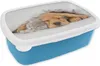 KitchenYeah® Lunchbox Brotzeit Brotdose 17x11 cm Haustiere Produktbild-Vorschau 1