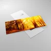 Bilder auf glas - Wald Baum Natur - 120x50cm - Glasbilder - Produktbild-Vorschau 2