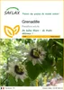 SAFLAX  - Grenadille - 40 graines - Passiflora Voir les images du produit 1