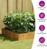 vidaXL Letto rialzato 100x100x33,5 cm in acciaio corten Anteprima dell’immagine prodotto 7