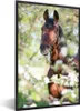 MuchoWow® MuchoWow® Gerahmtes Poster Pferde - Blüte - Produktbild-Vorschau 1