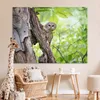 MuchoWow® Poster Eule - Wald - Licht 160x120 cm - Foto Produktbild-Vorschau 6