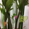 Schmetterlings-Orchideenclips 30 Stück, Pflanzenstielhaken Produktbild-Vorschau 5