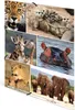 HERMA Eckspannermappe "Afrika Tiere" aus Karton DIN A4 Produktbild-Vorschau 6