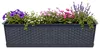 Prosperplast - Maceta para balcón - Color antracita - 12 Vista previa de la imagen del producto 1