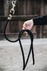 Kentucky Horsewear Lead Rope Basic Karabiner, Farbe:schwarz Produktbild-Vorschau 4