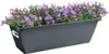 elho barcelona Balkonkasten 70cm - anthrazit Produktbild-Vorschau 5