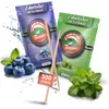 Stoxser 300x Zahnstocher mit Geschmack 2er Pack Blaubeere Produktbild-Vorschau 1
