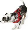 Hunter 46366, Hund, Zuggeschirr, L, Schwarz, Rot, Nylon, Produktbild-Vorschau 4
