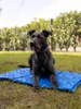 TrendPet Arctic Komfort, tappetino rinfrescante per cani, Anteprima dell’immagine prodotto 5
