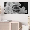 DEQORI Glasbild Echtglas 100x50 cm 'Schattenspiel der Produktbild-Vorschau 4