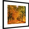 MuchoWow® Gerahmtes Poster Wald - Herbst - Jahreszeiten - Produktbild-Vorschau 1